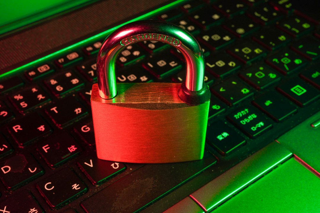 Bezpieczeństwo płatności online: Jak chronić swoje dane finansowe? 1 Photo online payment security